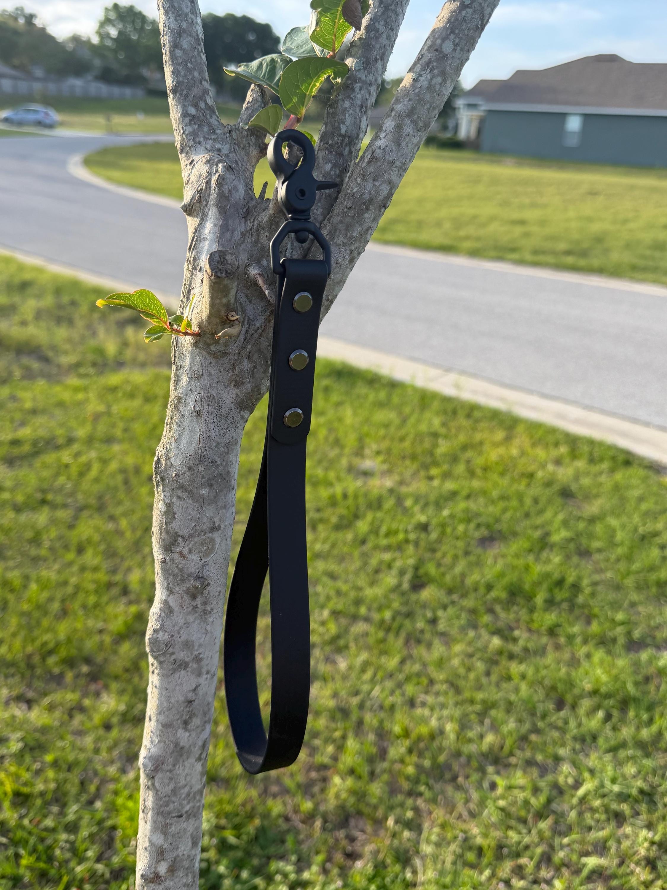 Biothane Traffic Lead Style #1 Customizable