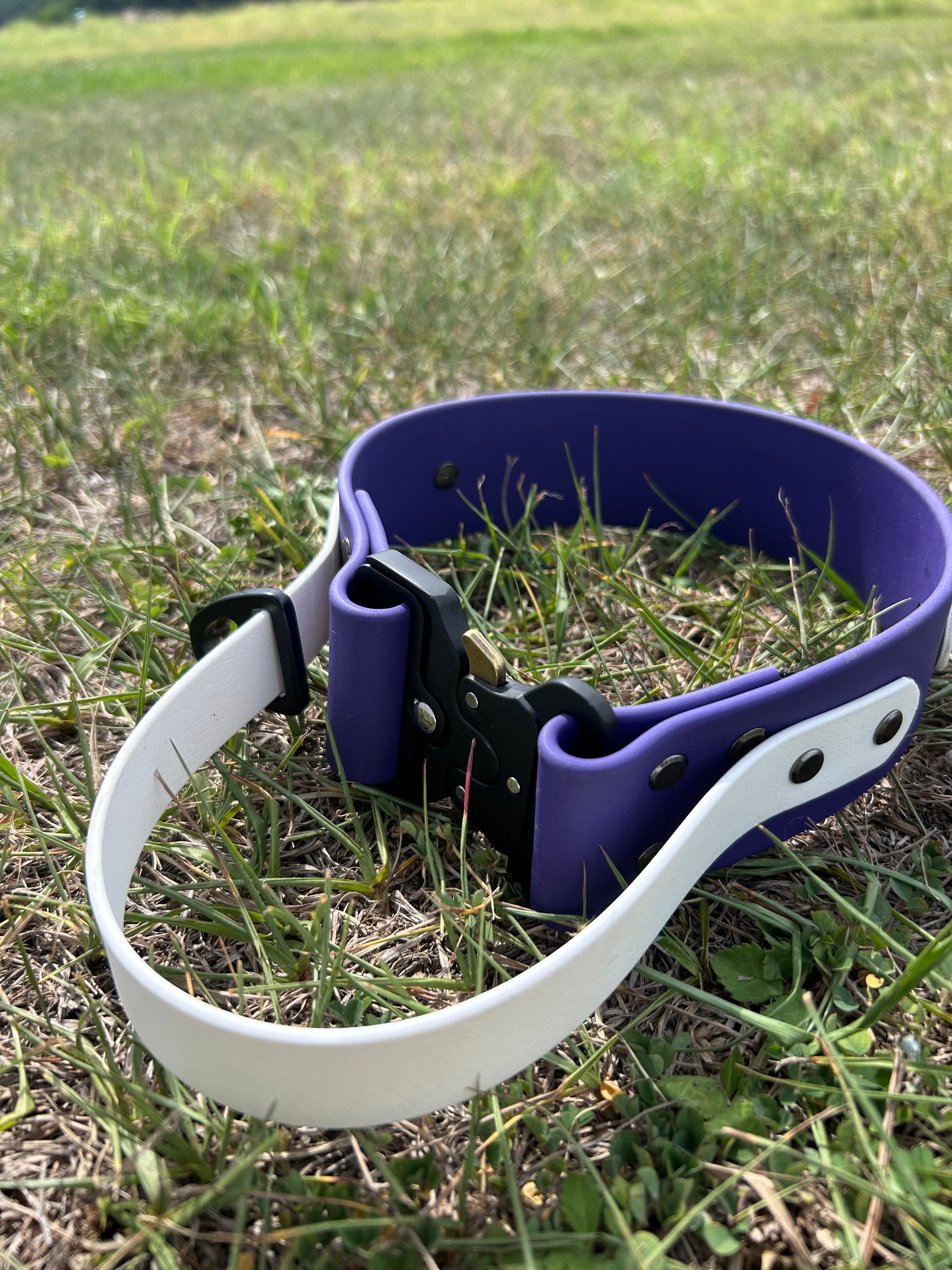 Adjustable and customizable Quick Release Collar with handle