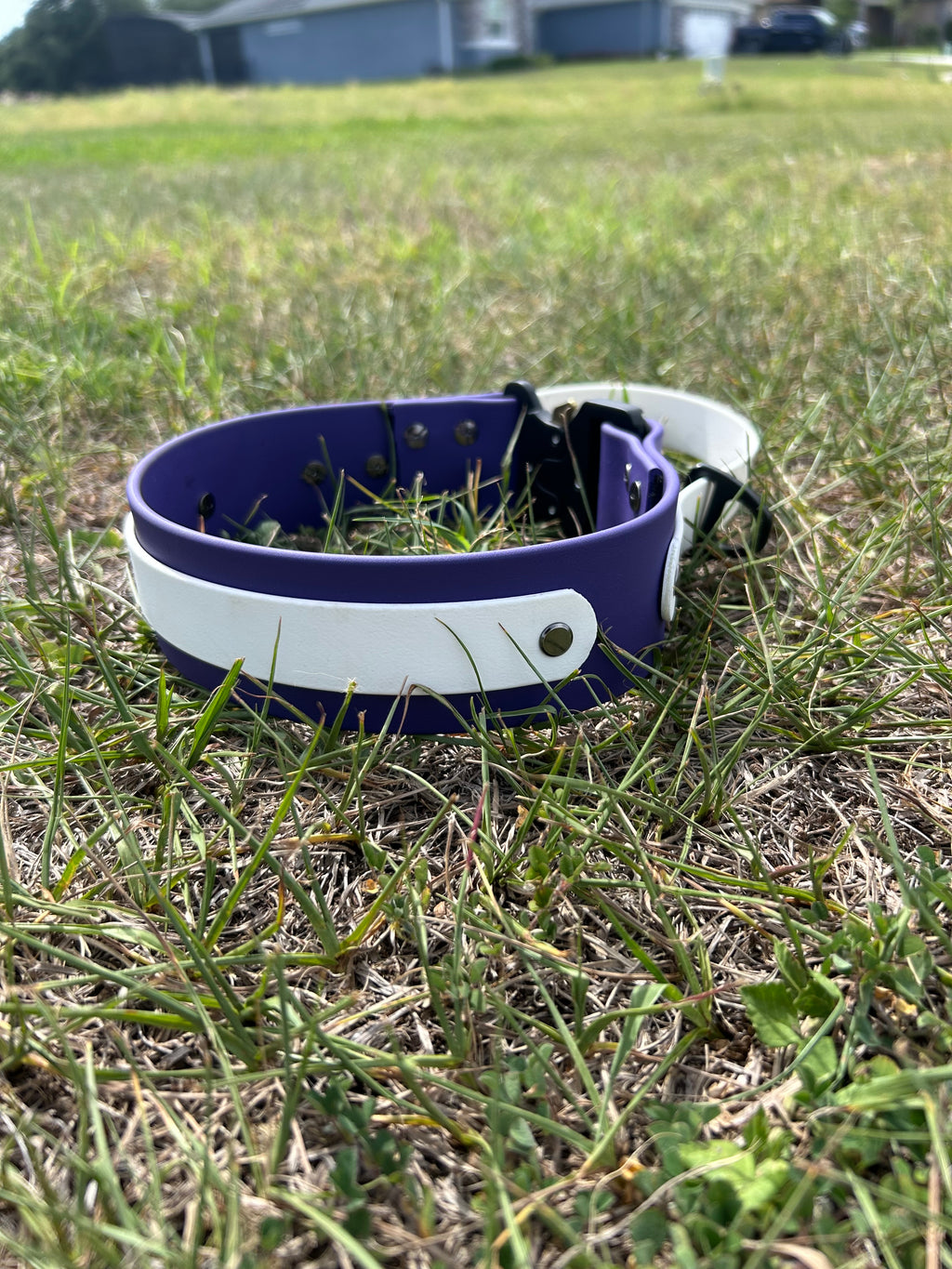 Adjustable and customizable Quick Release Collar with handle