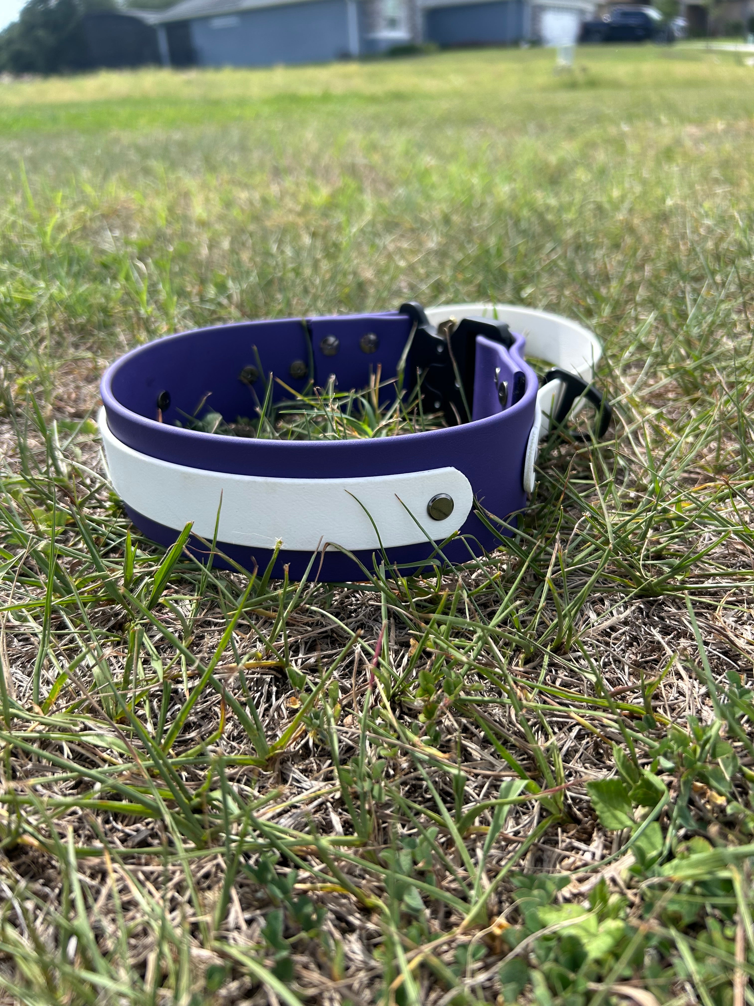 Adjustable and customizable Quick Release Collar with handle