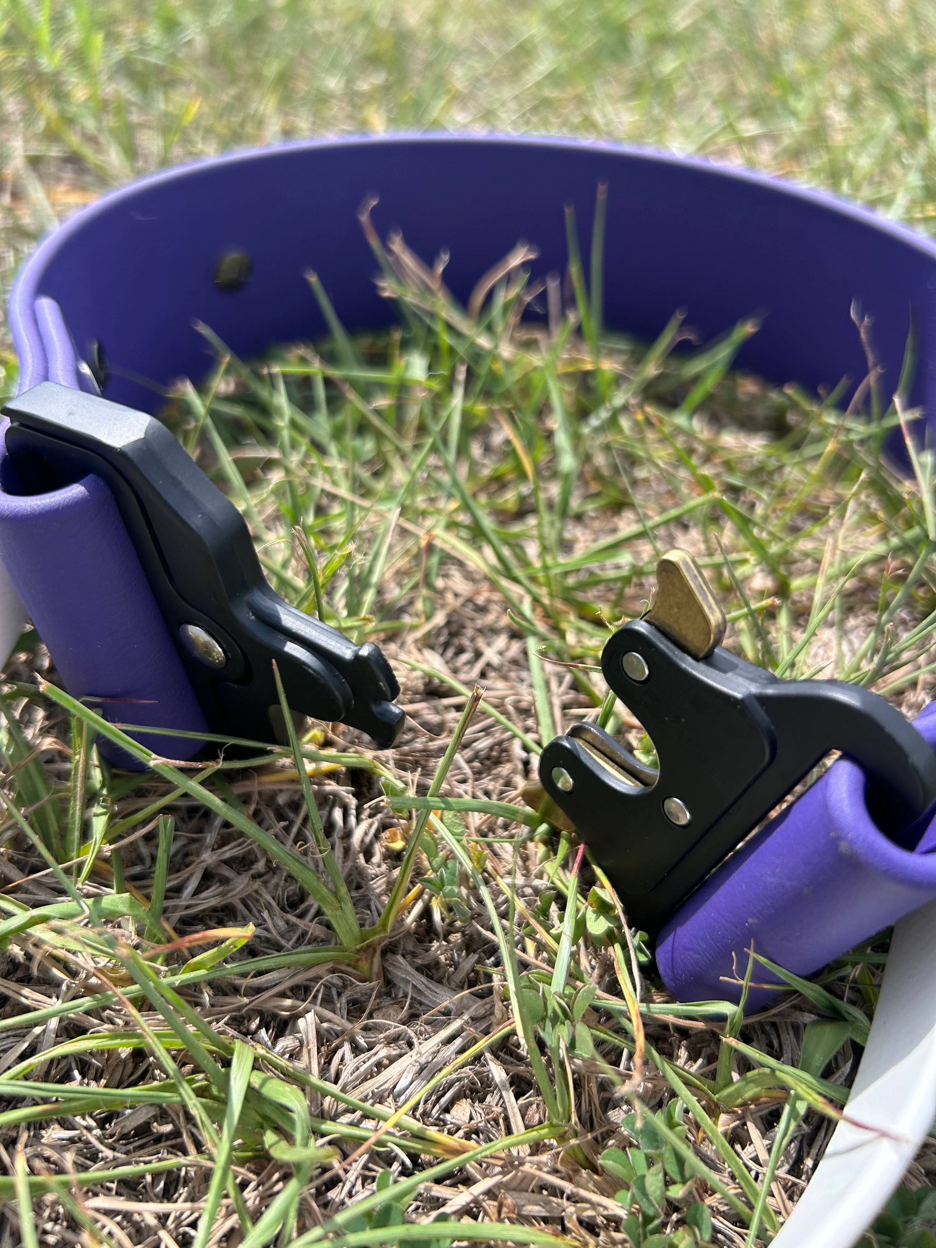 Adjustable and customizable Quick Release Collar with handle