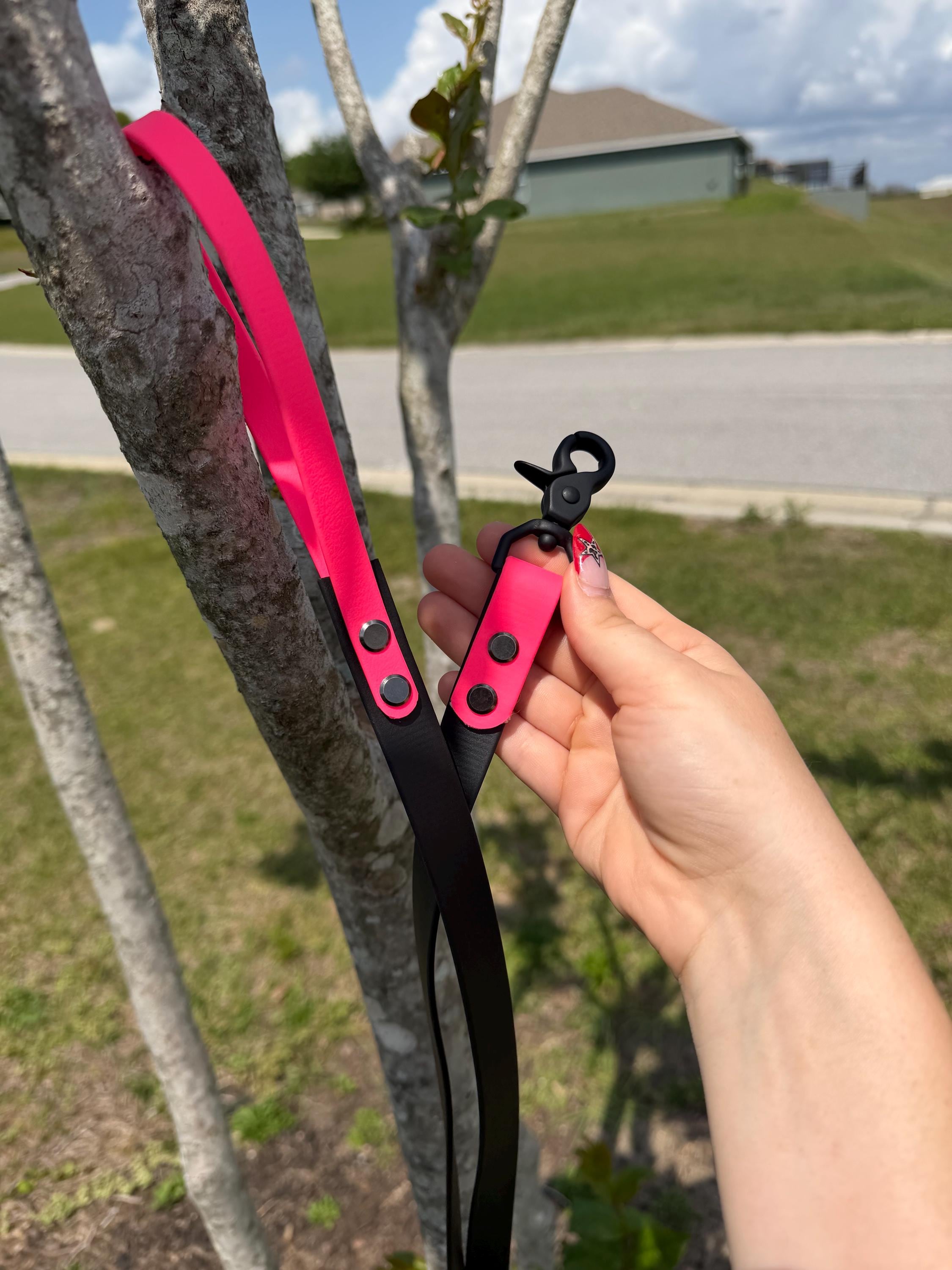 Waterproof Biothane Dog Leash | Heavy Duty Two Tone Lead 6-10ft
