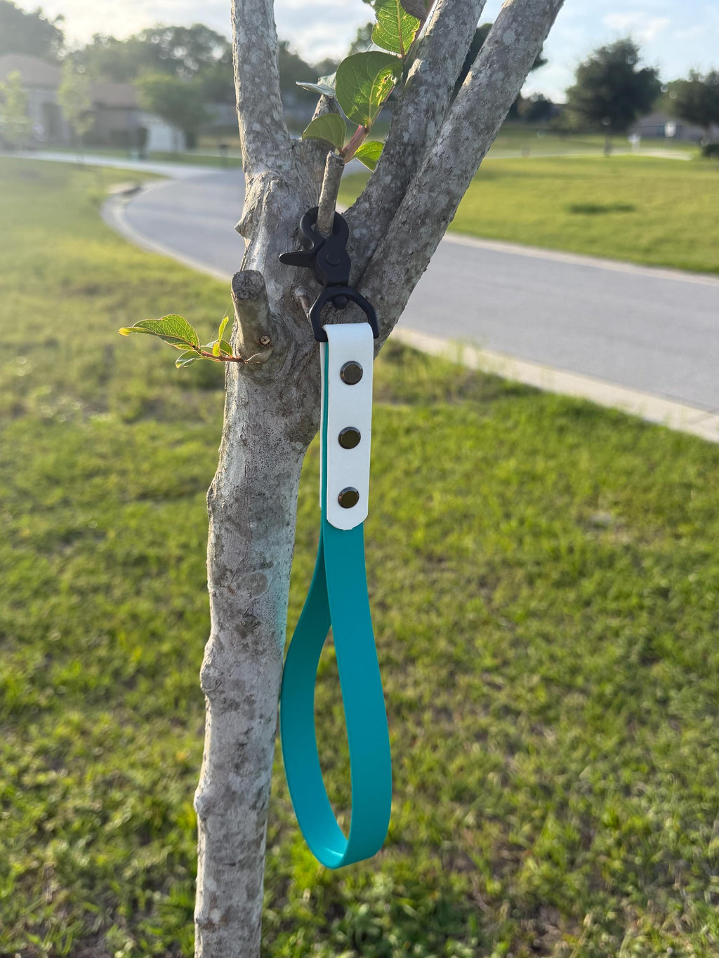 Biothane Traffic Lead Style #2 Customizable
